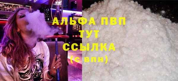 индика Вяземский